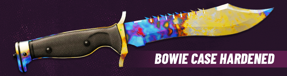 Image with Bowie Case Hardened Knife